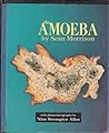 Amoeba Amoeba