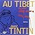 Au tibet avec tintin