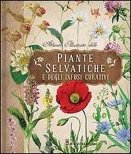Atlante illustrato delle piante selvatiche e infusioni curative (Hardcover)