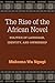 The Rise of the African Novel: Politics of Language, Identity, and Ownership (African Perspectives)