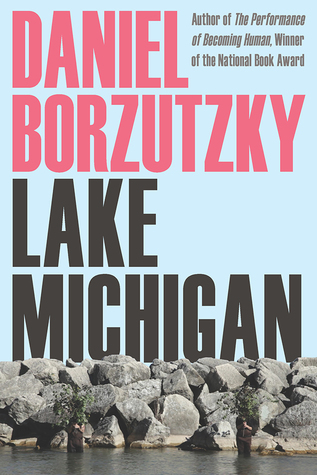 Lake Michigan (Pitt Poetry Series)