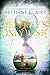 Jeffrey's Only Wish  (The Magical Matchmaker's Legacy, #4.5)