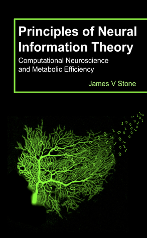 Principles of Neural Information Theory:  Computational Neuroscience  and Metabolic Efficiency (Paperback)