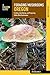 Foraging Mushrooms Oregon by Jim Meuninck