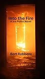 Into the Fire (Joe Polito/Somerville #2)