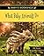 What Baby Animals Do (Baby'...