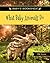 What Baby Animals Do by Elle Simms