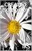 CREATIVE EXPLOSION: An Introduction to Vedanta and Freedom