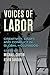 Voices of Labor: Creativity, Craft, and Conflict in Global Hollywood