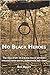 No Black Heroes