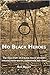 No Black Heroes by Ron  Bailey