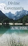 Book cover for Divine Covenants