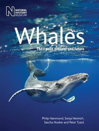 Whales (Paperback)