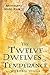The Twelve Dwelves of Temperance (Arcanaland, #2)
