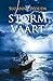 Stormvaart