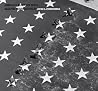 America in Black and White: Selected Photographs of John G. Zimmerman