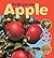 Learning About Life Cycles: The Life Cycle of an Apple