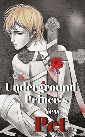 Underground Prince's New Pet (Kindle Edition)
