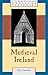 Medieval Ireland by Clare Downham