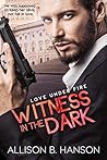 Witness in the Dark by Allison B. Hanson