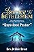 Journey to Bethlehem by Debbie Drost