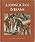 Algonquian Indians at Summe...