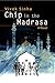 Chip in the Madrasa