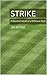 Strike: A Baseball Novel of a Different Kind