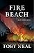 Fire Beach (Lei Crime #8)