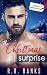 The Christmas Surprise by R.R. Banks