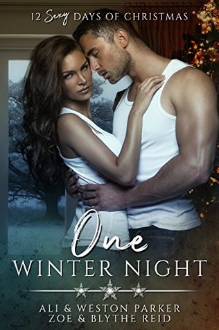 One Winter Night (The Parker's 12 Days of Christmas #1)