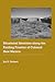 Situational Identities along the Raiding Frontier of Colonial New Mexico (Historical Archaeology of the American West)