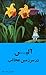 آلیس در سرزمین عجائب