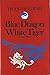 Blue Dragon White Tiger: A Tet Story