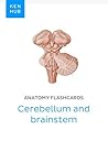 Anatomy flashcards: Cerebellum and brainstem: Learn all organs, nerves and terminology on the go (Kenhub Flashcards Book 33)