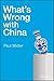 What's Wrong with China