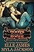 Boots & the Rogue (Ugly Stick Saloon Book 13)