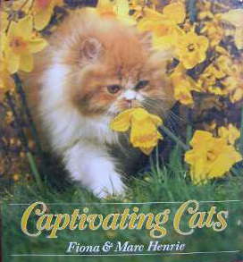 Captivating Cats
