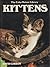 Kittens by David Gibbon