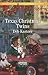 Texas Christmas Twins (Christmas Twins, #3)