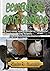 Domestic Cat Breeds by Kevin R. Sweeter