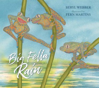 Big Fella Rain (Paperback)