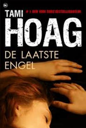 De laatste engel (Kovac and Liska, #3)