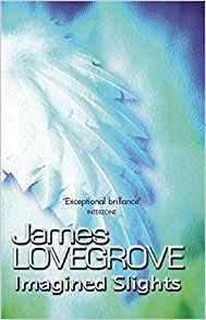 Imagined Slights (Paperback)