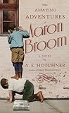 The Amazing Adventures of Aaron Broom: A Novel The Amazing Adventures of Aaron Broom: A Novel