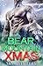 Bear Mountain Christmas (Bear Mountain Shifters, #5)