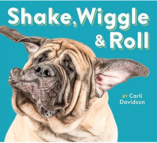 Shake, Wiggle & Roll (Board Book)