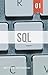 SQL: Beginner Level SQL Fro...