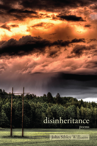 Disinheritance (Paperback)