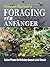 Foraging Für Anfänger: Essb...